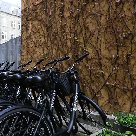 سافوي فندق 3*